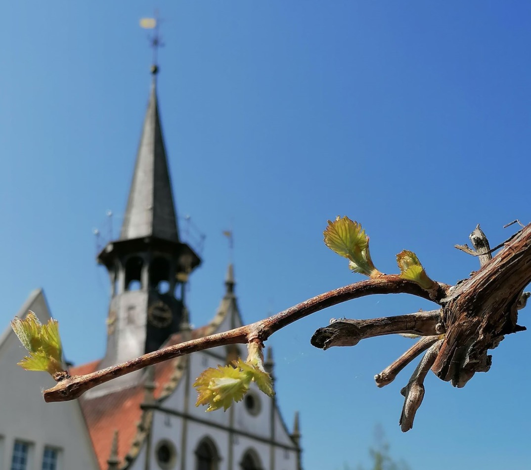 Blick auf den Turm des historischen Rathauses in der Altstadt Burgsteinfurt, gegenüber der Vinothek